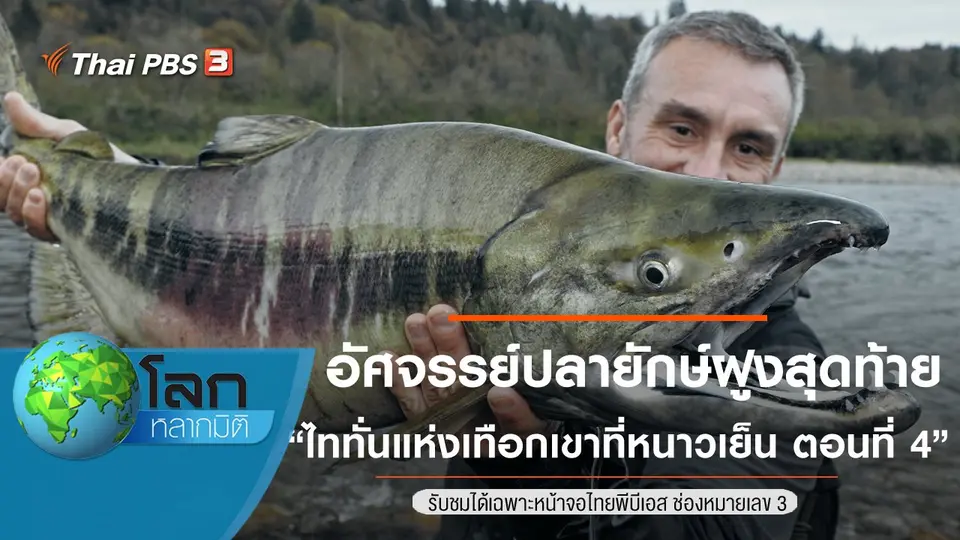 โลกหลากมิติ