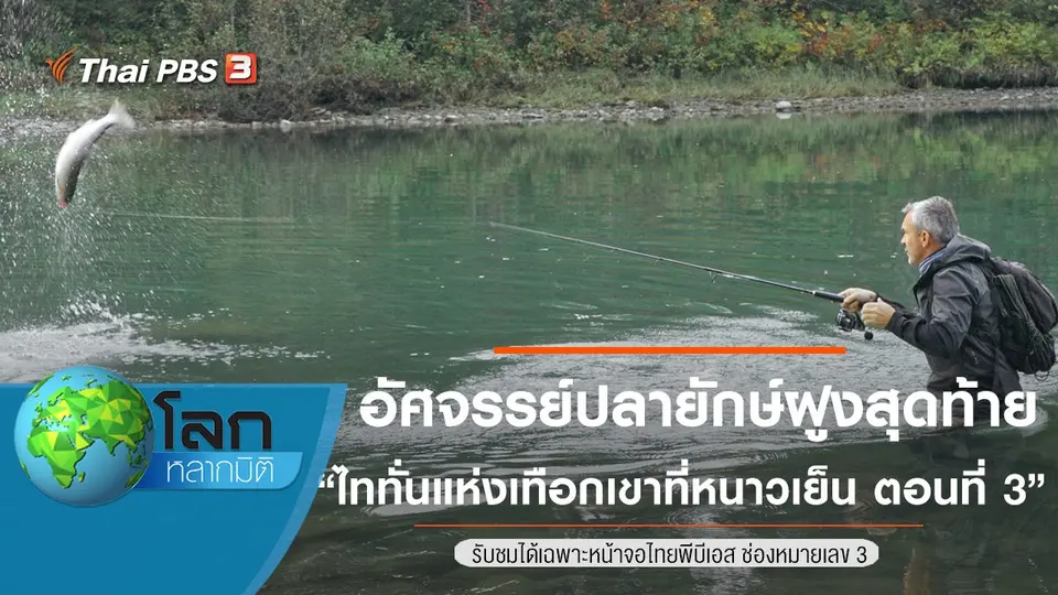 โลกหลากมิติ