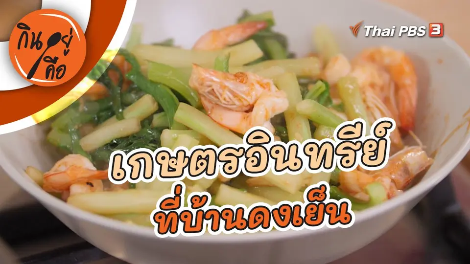 เกษตรอินทรีย์ที่บ้านดงเย็น