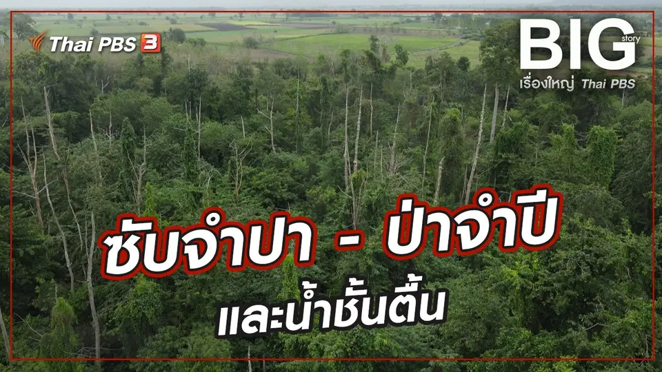 ซับจำปา - ป่าจำปี และน้ำชั้นตื้น
