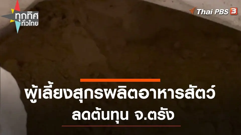 ผู้เลี้ยงสุกรผลิตอาหารสัตว์ลดต้นทุน จ.ตรัง