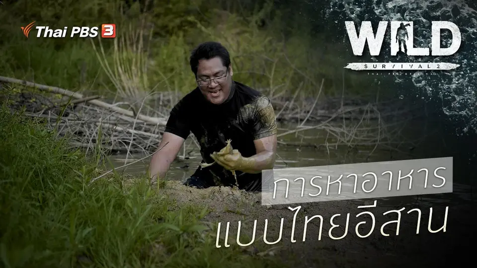 การหาอาหารแบบไทยอีสาน