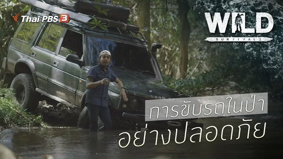 การขับรถในป่าอย่างปลอดภัย