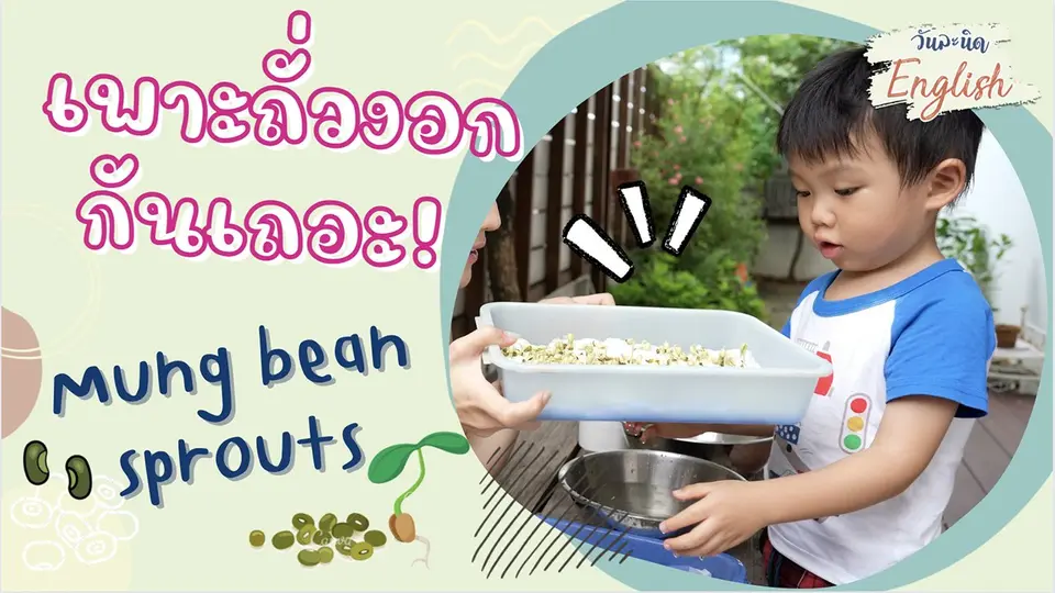 วันละนิด English - มาเพาะถั่วงอกกันเถอะ