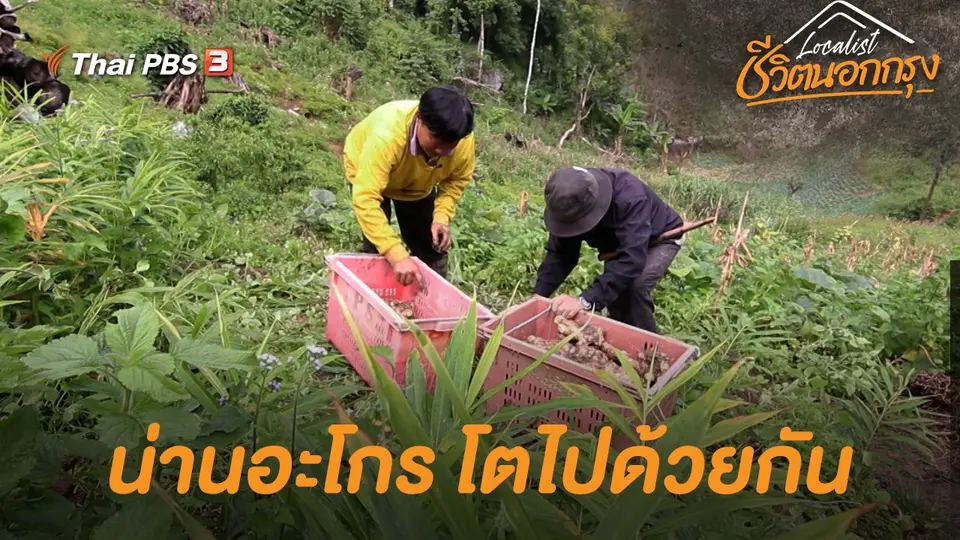 น่านอะโกร โตไปด้วยกัน