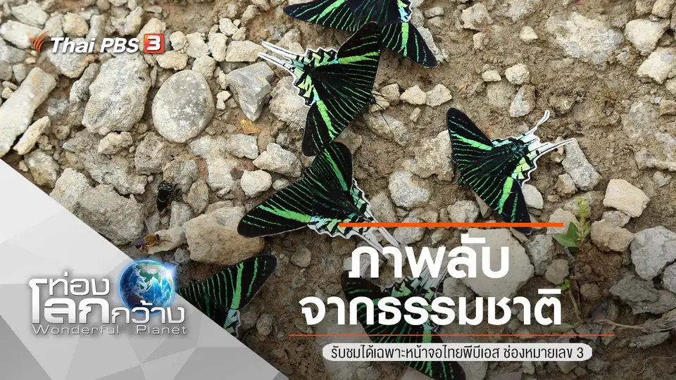 ท่องโลกกว้าง