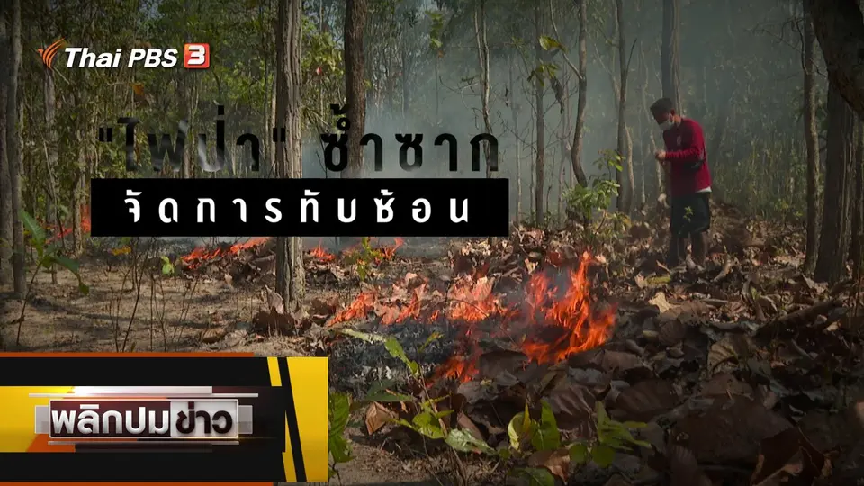 ไฟป่าซ้ำซ้อน จัดการทับซ้อน