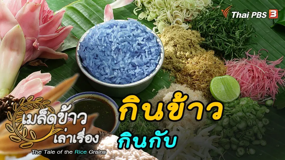 เมล็ดข้าวเล่าเรื่อง