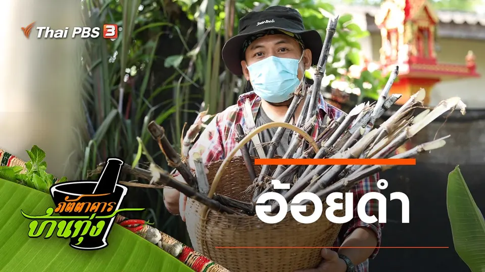 อ้อยดำ