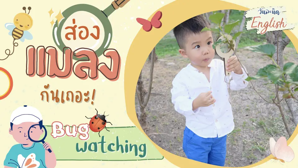 วันละนิด English - ส่องแมลงกันเถอะ