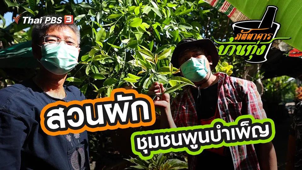 สวนผักชุมชนพูนบำเพ็ญ