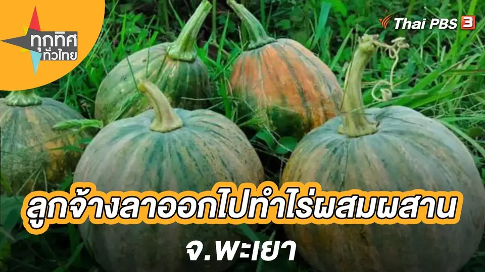 ทุกทิศทั่วไทย