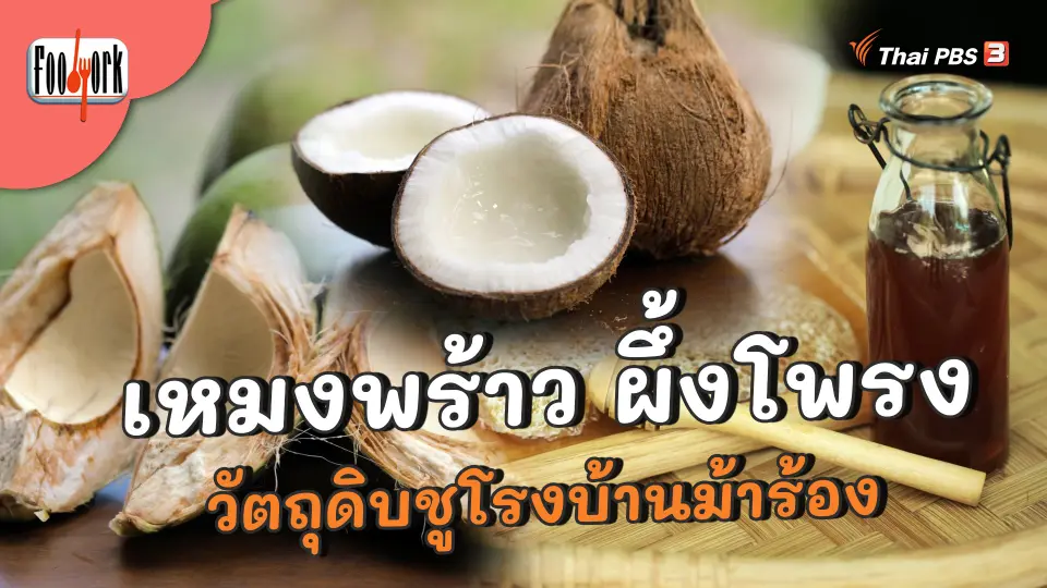 เหมงพร้าว ผึ้งโพรง วัตถุดิบชูโรงบ้านม้าร้อง
