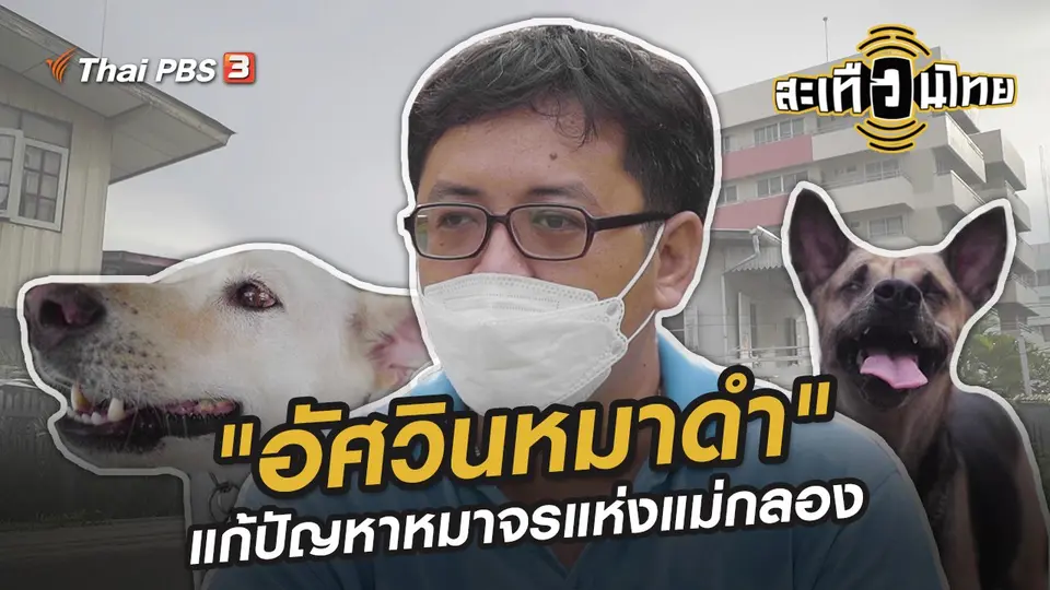 "อัศวินหมาดำ" คนธรรมดาที่แก้ปัญหาหมาจรแห่งแม่กลอง