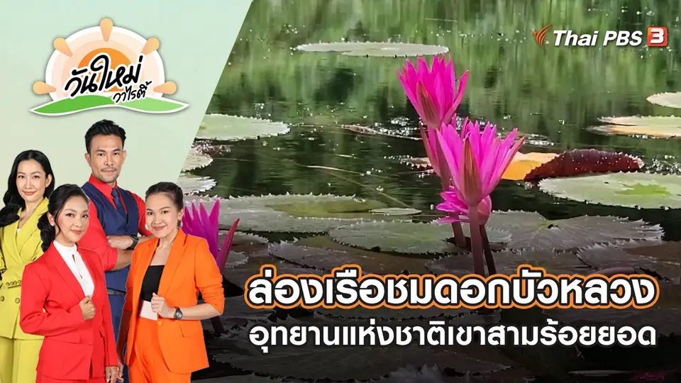 ล่องเรือชมดอกบัวหลวงอุทยานแห่งชาติเขาสามร้อยยอด | วันใหม่วาไรตี้ | 4 ก.ค. 65