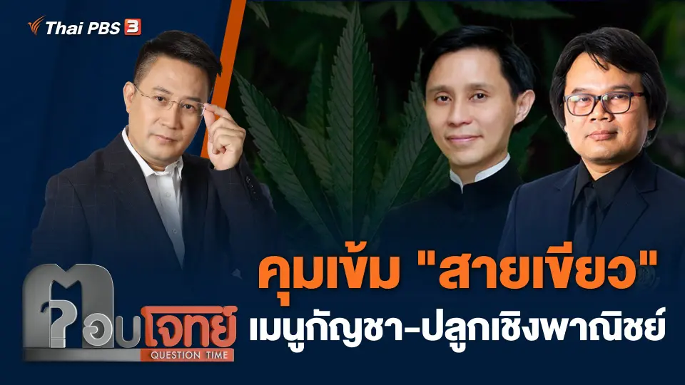 คุมเข้ม "สายเขียว" เมนูกัญชา - ปลูกเชิงพาณิชย์