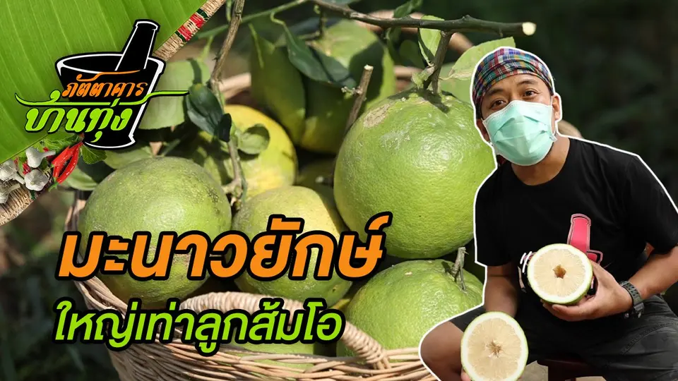 มะนาวยักษ์