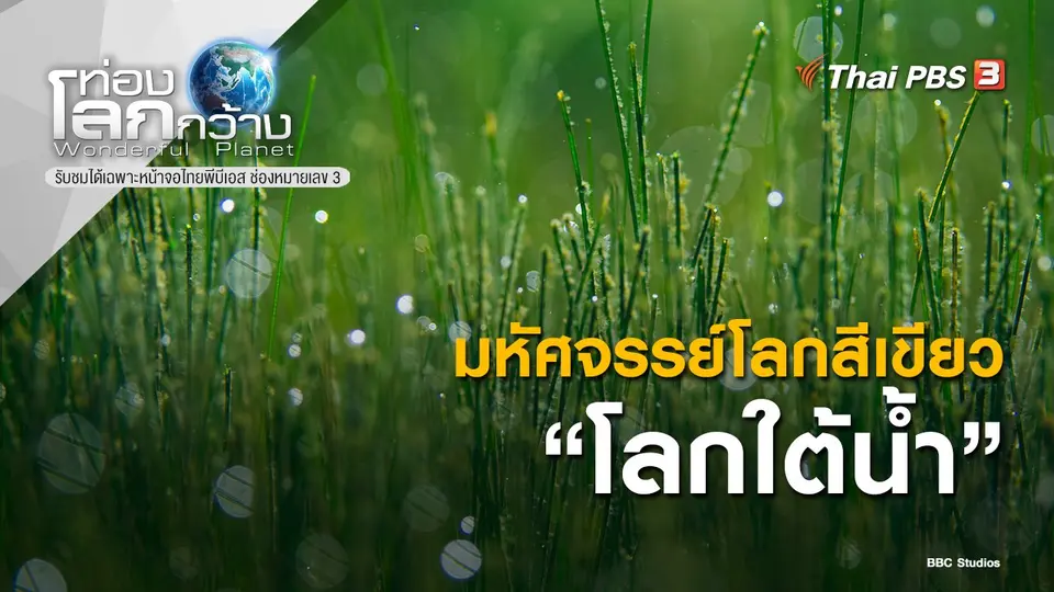 ท่องโลกกว้าง