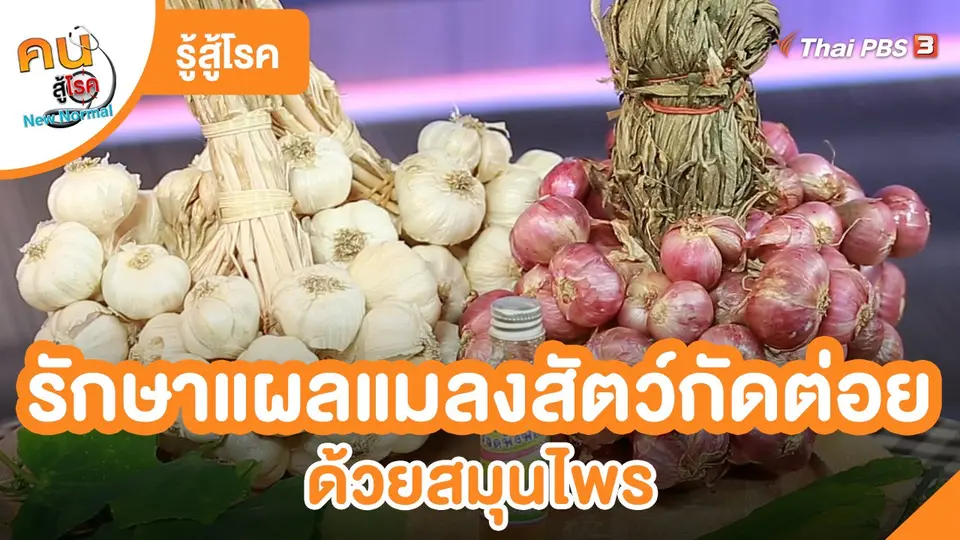 คนสู้โรค