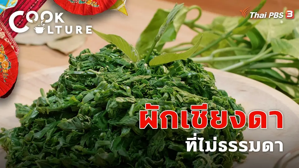 ผักเชียงดา ที่ไม่ธรรมดา