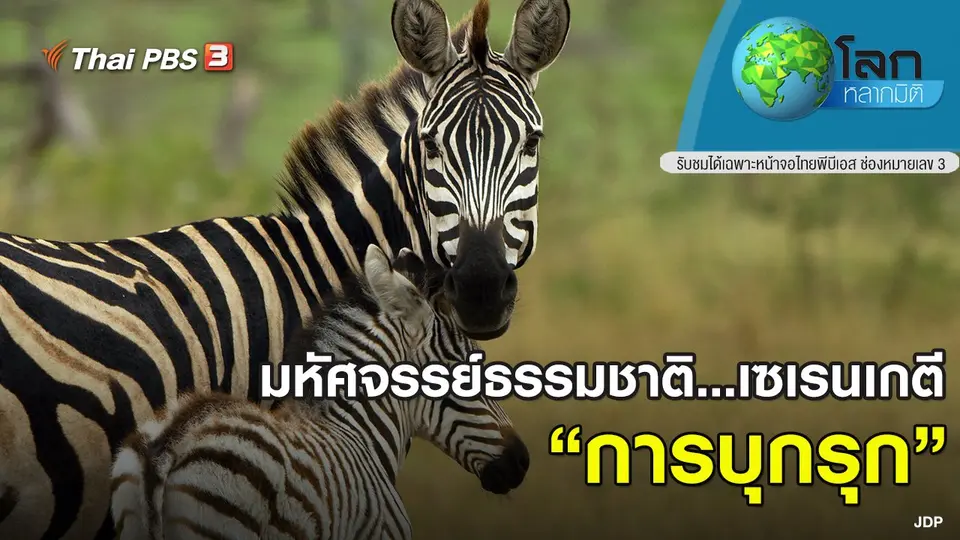 โลกหลากมิติ