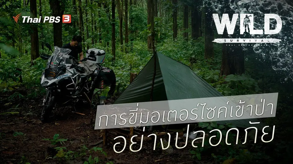 การขี่มอเตอร์ไซค์เข้าป่าอย่างปลอดภัย