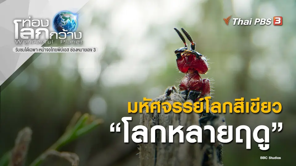 ท่องโลกกว้าง