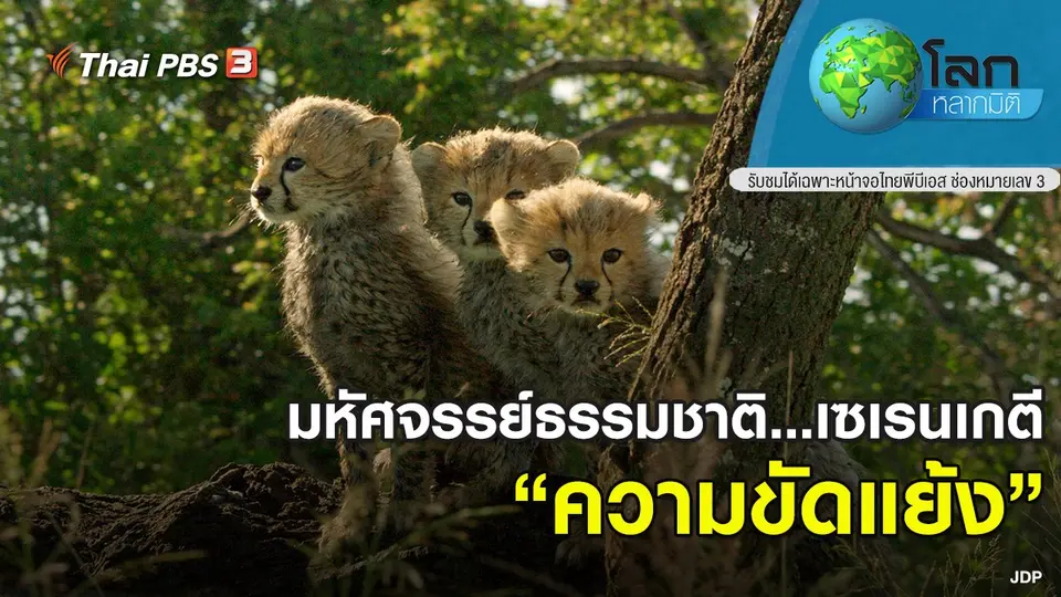 โลกหลากมิติ