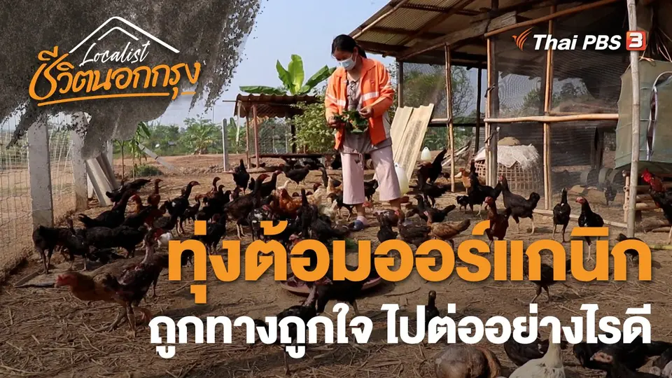 ทุ่งต้อมออร์แกนิก ถูกทางถูกใจ ไปต่ออย่างไรดี