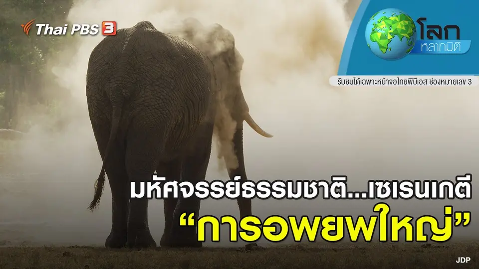 โลกหลากมิติ