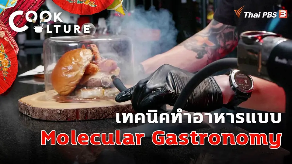 Cook Culture