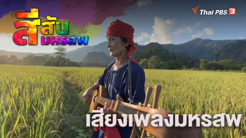 สีสันมหรสพ