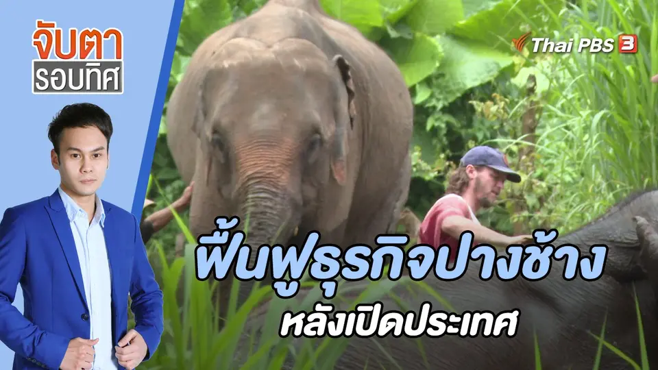 ฟื้นฟูธุรกิจปางช้างหลังเปิดประเทศ | 20 ก.ย. 65