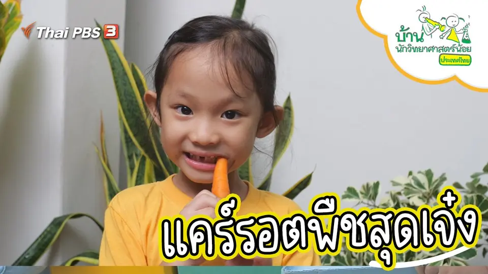 แคร์รอตพืชสุดเจ๋ง