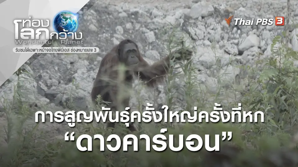 ท่องโลกกว้าง