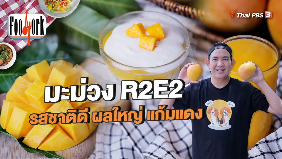 มะม่วง R2E2 รสชาติดี ผลใหญ่ แก้มแดง