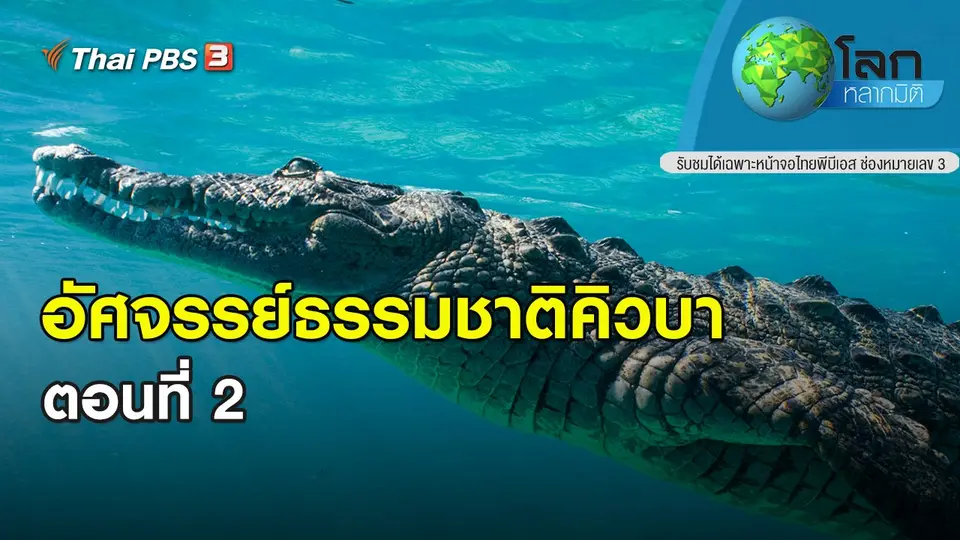 โลกหลากมิติ