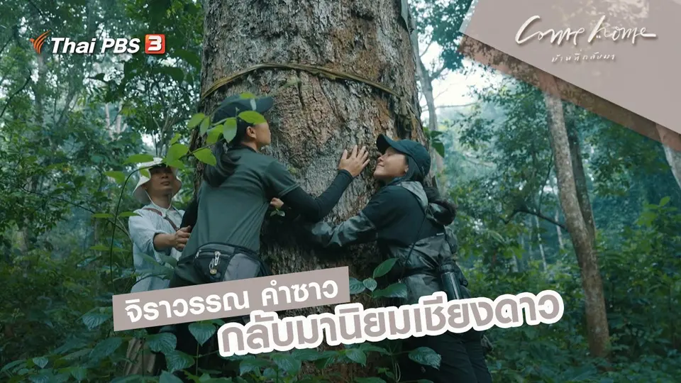 จิราวรรณ คำซาว : กลับมานิยมเชียงดาว
