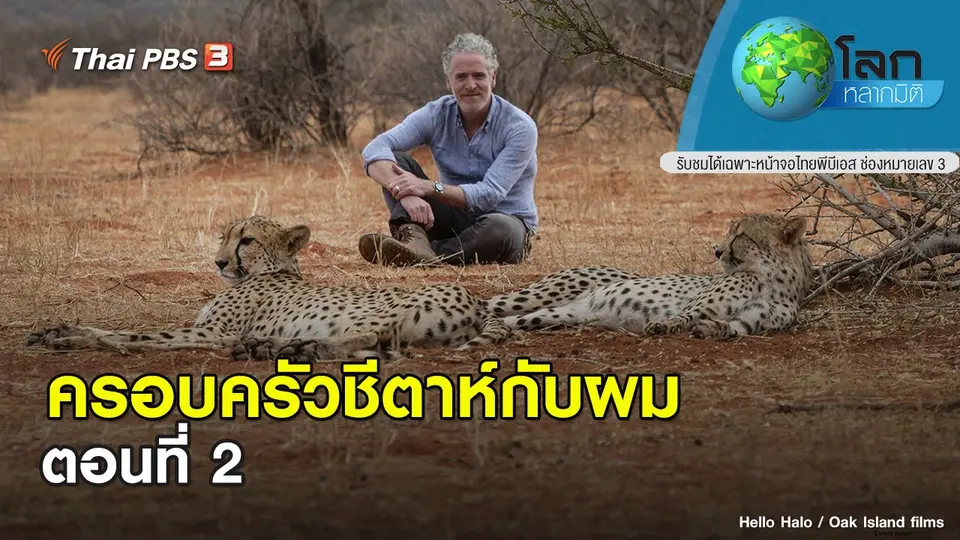 โลกหลากมิติ