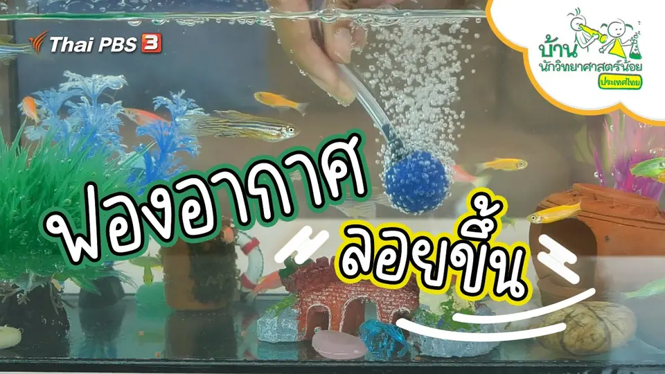 ฟองอากาศลอยขึ้น