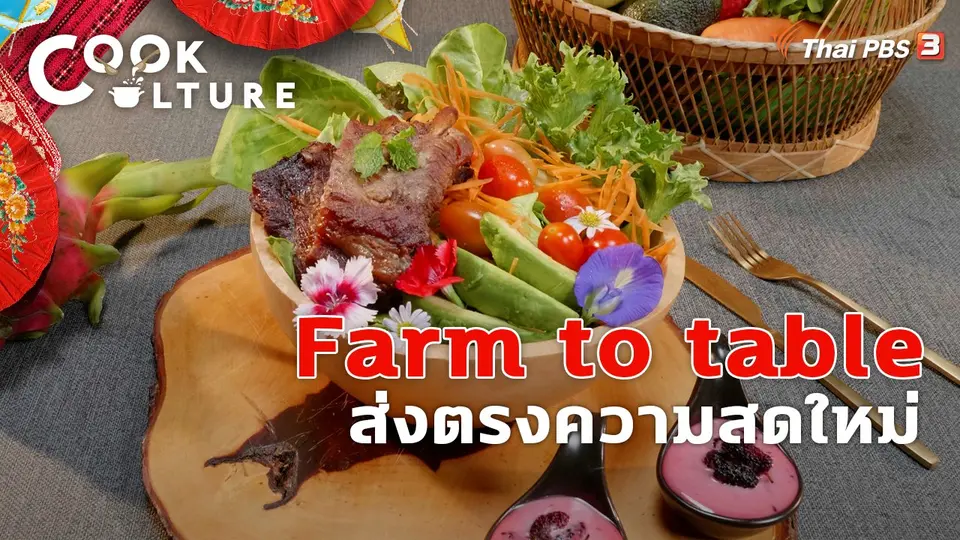 Cook Culture