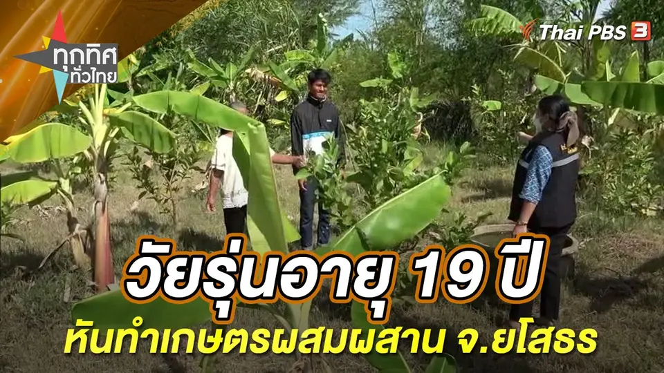 วัยรุ่นอายุ 19 ปี หันทำเกษตรผสมผสาน จ.ยโสธร