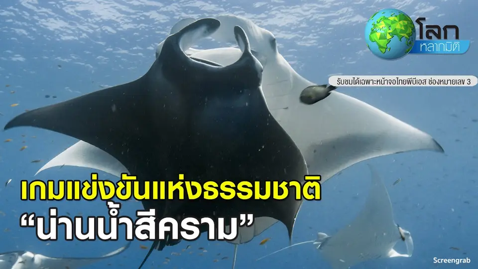 โลกหลากมิติ