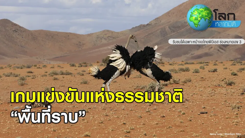 โลกหลากมิติ