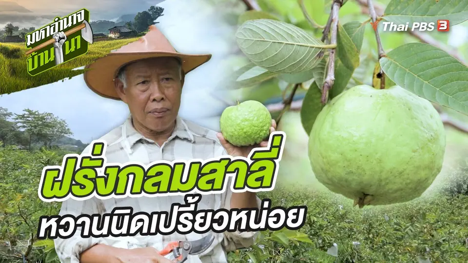 มหาอำนาจบ้านนา