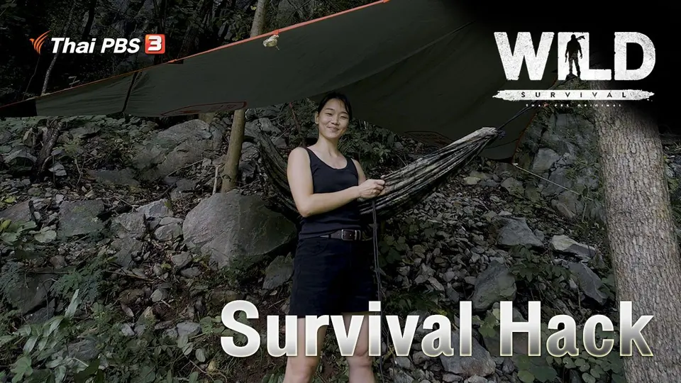 Survival Hack