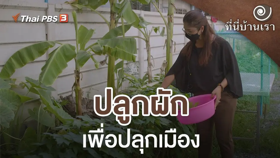 ปลูกผักเพื่อปลุกเมือง