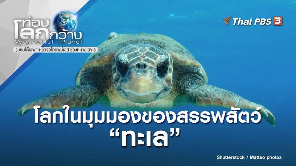 ท่องโลกกว้าง