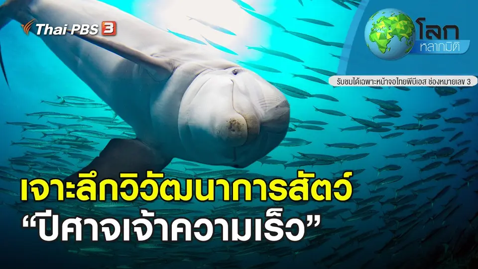 โลกหลากมิติ
