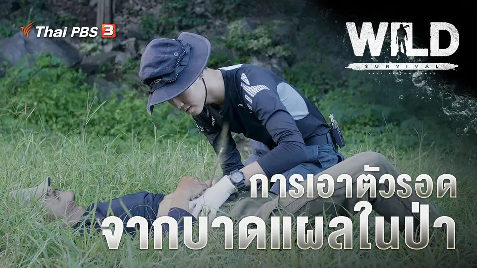 การเอาตัวรอดจากบาดแผลในป่า